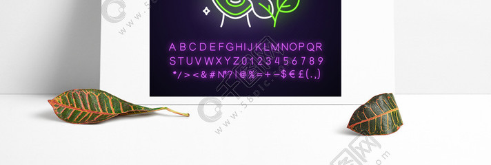 植物護膚新紀元 解碼有機保濕產(chǎn)品的科技與美學