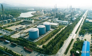 擦亮現(xiàn)代化工&ldquo;金字招牌&rdquo; --東至經(jīng)濟(jì)開發(fā)區(qū)培育優(yōu)勢產(chǎn)業(yè)釋放高端集聚效應(yīng)