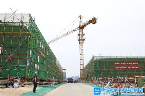 威海市人民政府 今日威海 跟著觀摩團看項目 環(huán)翠區(qū)